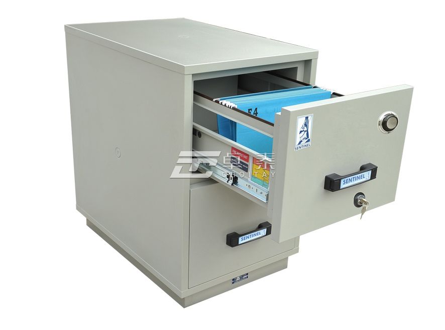 两小时防火文件柜FRD-II-20(图1)